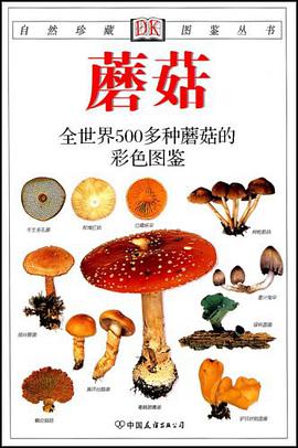 蘑菇