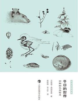 冬日的世界