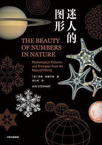 迷人的图形 (中信出版集团·鹦鹉螺工作室 2019)