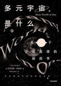 多元宇宙是什么 (中信出版社 2020)