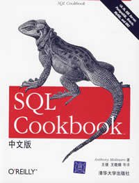 SQL Cookbook中文版 (清华大学出版社 2007)