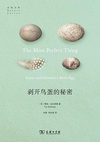 剥开鸟蛋的秘密