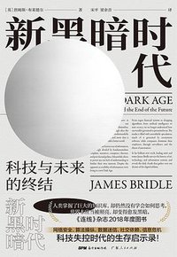 新黑暗时代 (广东人民出版社 2019)
