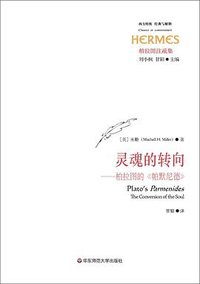灵魂的转向 (华东师范大学出版社·六点分社 2015)