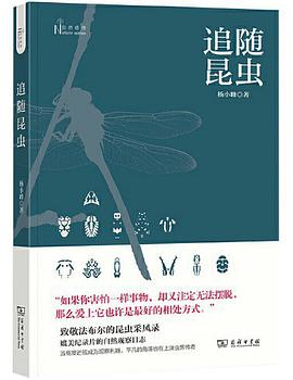 追随昆虫