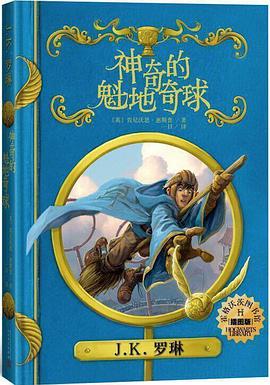 神奇的魁地奇球(插图版)