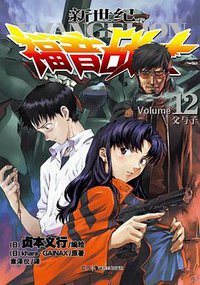 新世纪福音战士 12 (湖南美术出版社 2012)