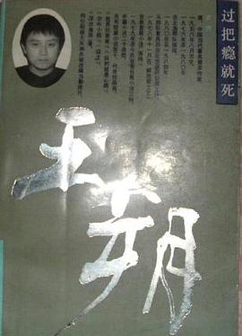 过把瘾就死