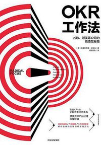 OKR工作法 (中信出版社 2017)
