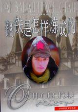 钢铁是怎样炼成的 (译林出版社 1995)
