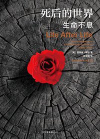 死后的世界 (后浪丨中国友谊出版公司 2019)