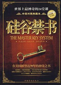 硅谷禁书 (2008)