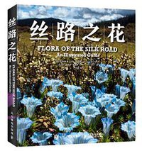 丝路之花 (人民邮电出版社 2019)