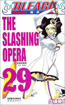 BLEACH 境·界29
