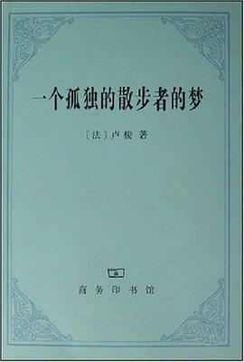 一个孤独的散步者的梦
