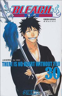 BLEACH 境·界30 (连环画出版社 2010)
