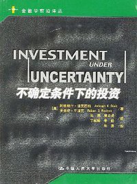 不确定条件下的投资 (中国人民大学出版社 2002)