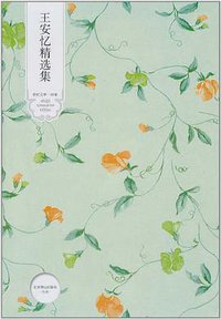 王安忆精选集 (北京燕山出版社 2006)