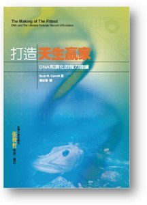 打造天生贏家