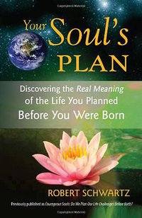 Your Soul's Plan (Frog Books 2009)