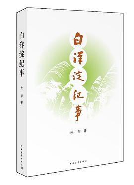 白洋淀纪事