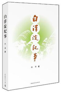 白洋淀纪事 (中国青年出版社 2010)