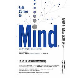 意識究竟從何而來?