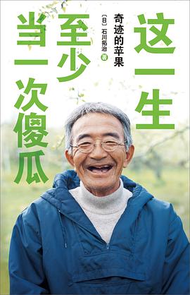 这一生,至少当一次傻瓜(精装版)