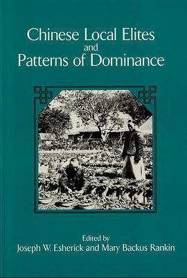 Chinese Local Elites and Patterns of Dominance