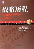 战略历程 (机械工业出版社 2006)