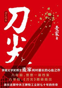 刀尖:刀之阳面 (北京联合出版公司 2011)