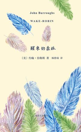 醒来的森林