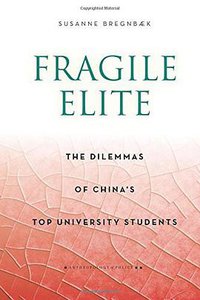Fragile Elite (Stanford University Press 2016)