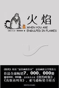 火焰 (2009)