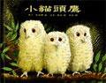 小貓頭鷹 (信誼（上誼）)