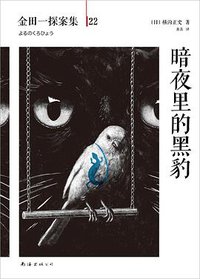 暗夜里的黑豹 (南海出版公司 2014)