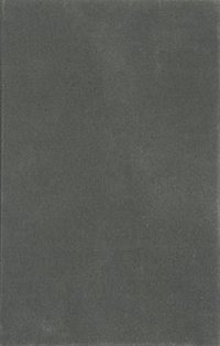 The Modern Spirit of Asia (Princeton University Press 2013)