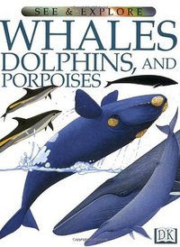 See and Explore (DK Publishing 1998)