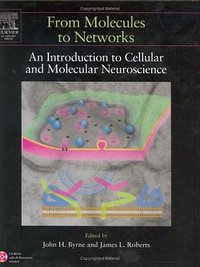 From Molecules to Networks (Academic Press 2003)