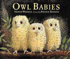 Owl Babies (Candlewick Press (MA) 1996)