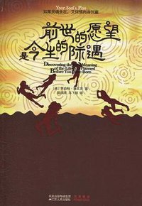 前世的愿望是今生的际遇 (江苏人民出版社 2010)