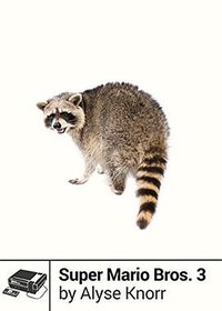 Super Mario Bros. 3 Boss Fight Books #13 (Scb Distributed Publishers 2014)