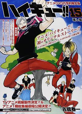 ハイキュー!!15 アニメDVD付同梱版