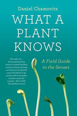 What a Plant Knows