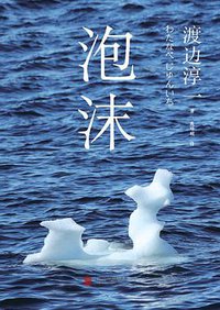 泡沫 (北京联合出版公司 2014)