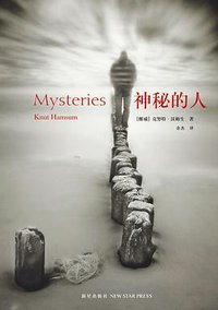 神秘的人 (新星出版社 2010)