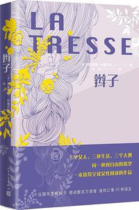 辫子 (人民文学出版社 2019)