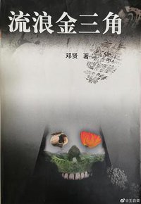 流浪金三角 (人民文学出版社 2000)