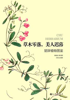 草木零落，美人迟暮