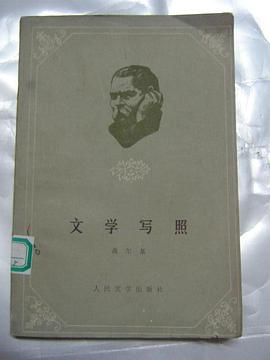 文学写照